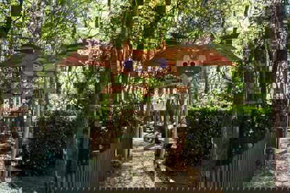 Woodland Adventures