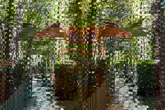 Woodland Adventures