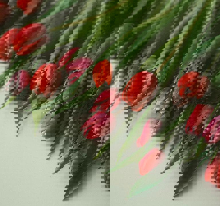 Pexels Anh Nguyen 517648218 20242802