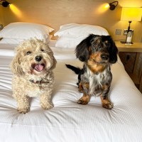 0F6349f70f800ea62fc1094b07f0566fcfafe183