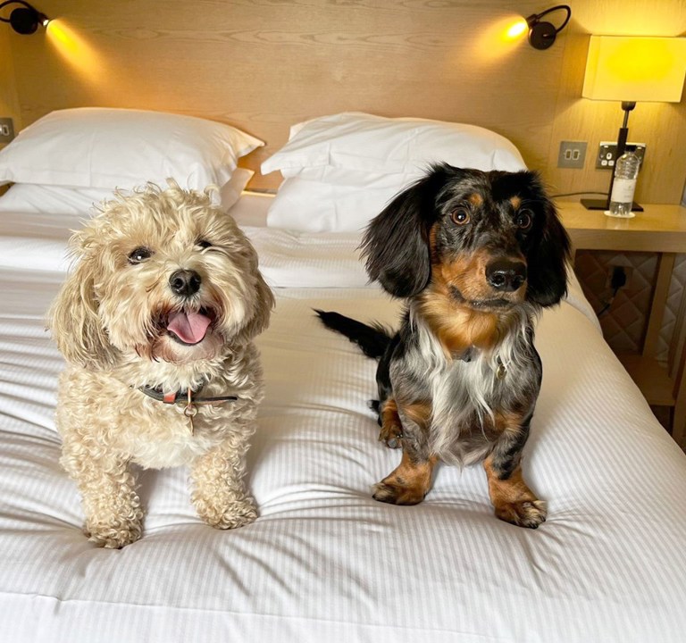 0F6349f70f800ea62fc1094b07f0566fcfafe183