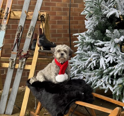 Thumbnail IMG 8646Crop