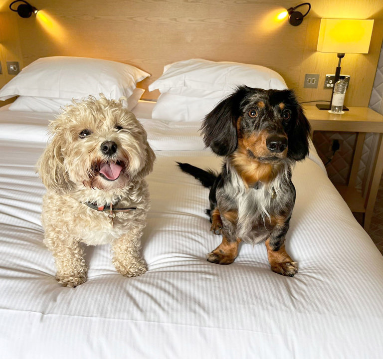 Paddy And Albie