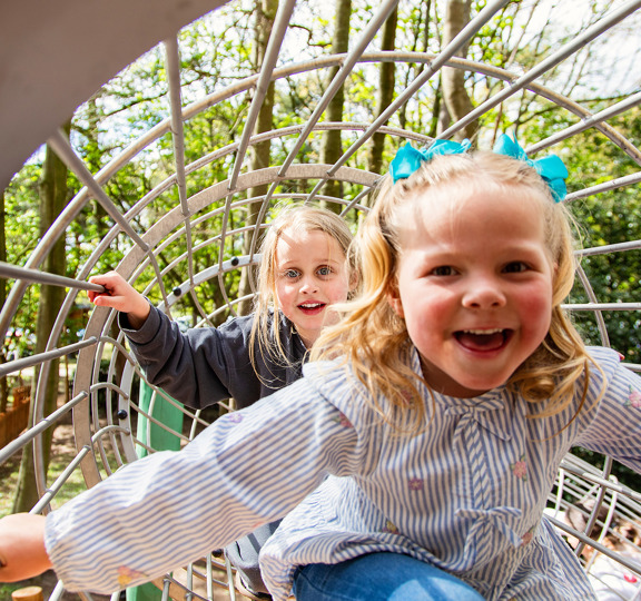 Capco X Belfry Web Size 133