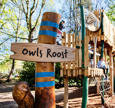 Capco X Belfry Web Size 035