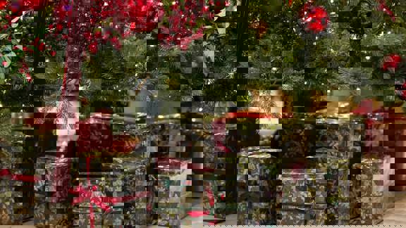 Belfry Dec 24 Amy Murrell 36