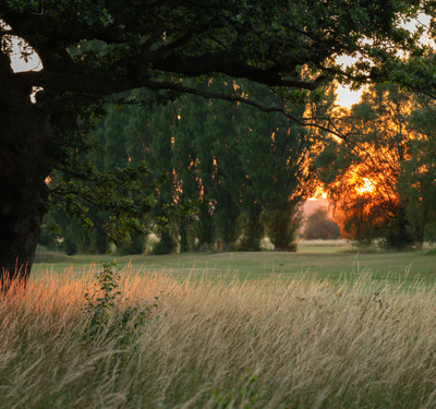 Belfry Golf Course July26 Amy Murrell 45