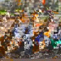 Pexels Michael Morse 1582736