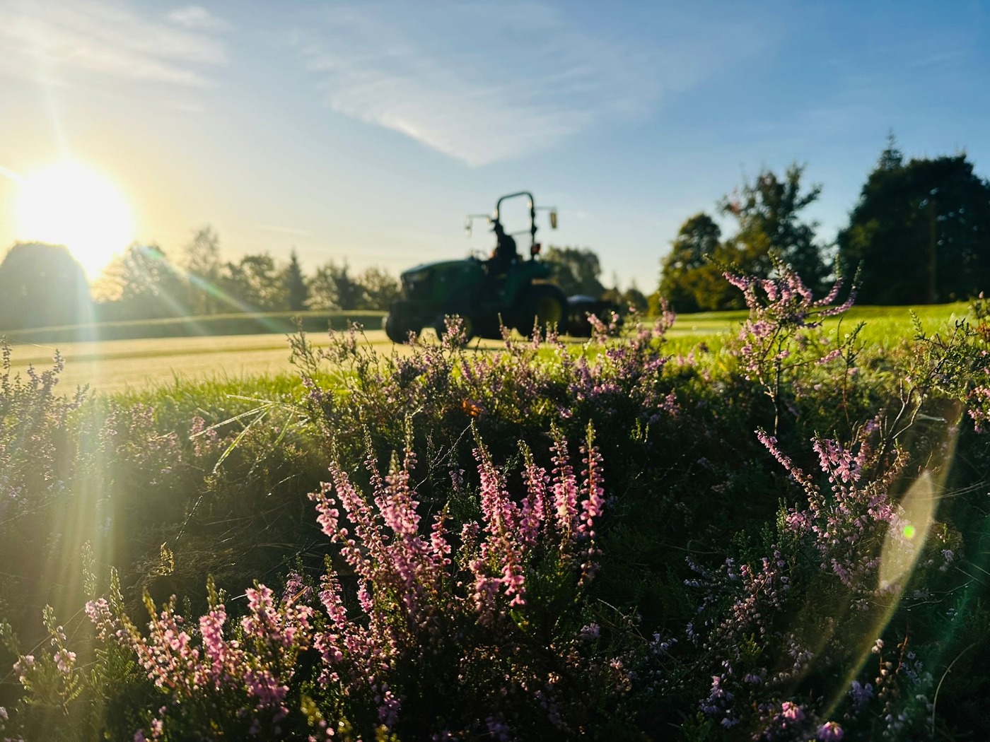 Heather-framed fairway on The Derby at The Belfry