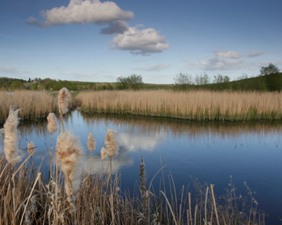 RSPB Lakes
