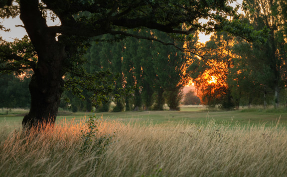 Belfry Golf Course July26 Amy Murrell 45