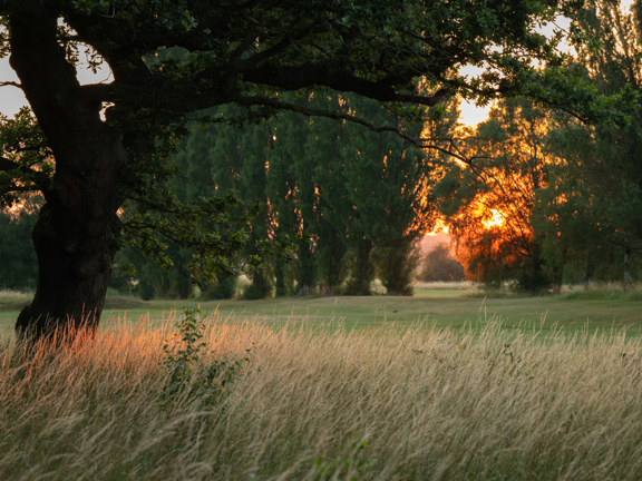Belfry Golf Course July26 Amy Murrell 45