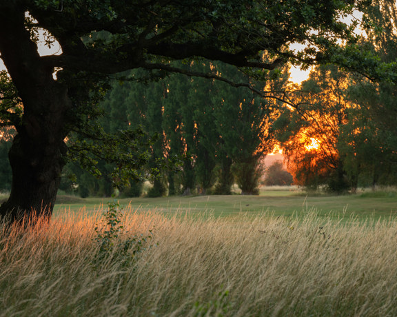 Belfry Golf Course July26 Amy Murrell 45