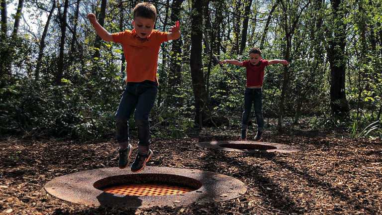 492529572 1115235297306546 144216935425195244 N (1)