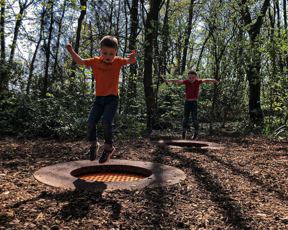 492529572 1115235297306546 144216935425195244 N (1)