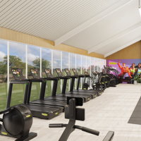 Gym Tredmills